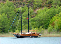 yacht charter